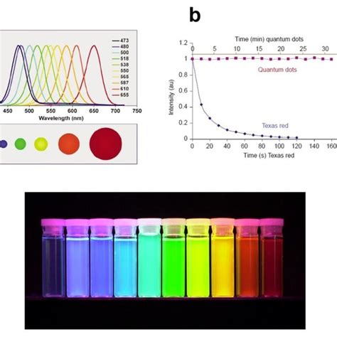 4. The nano scale. Schematic showing the size scale of objects compared ...