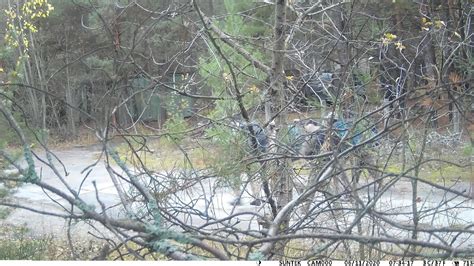 Что сняли скрытые камеры в Припяти и кто на них попался - оставили ...