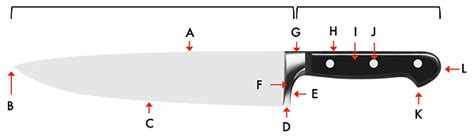 Nomenclature Terminology For Kitchen Knives Knifeopedia