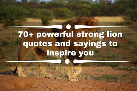 70 Powerful Strong Lion Quotes And Sayings To Inspire You Riffdash