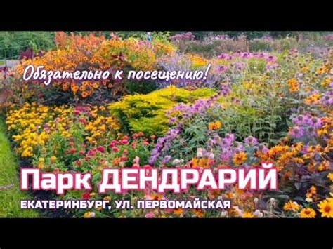 😍 Самый красивый Дендропарк! Екатеринбург Дендрарий на Мира. Прогулка ...