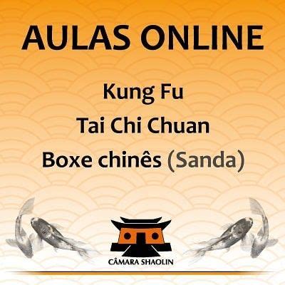 Kung Fu Tai Chi Chuan e Sanda Treinos físicos técnicos relaxamento