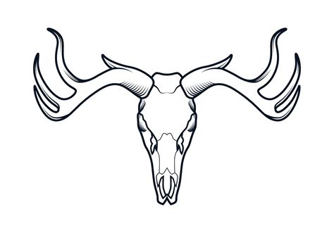 Deer Skull Line Vector 230179 Vector Art At Vecteezy