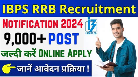 Ibps Rrb Recruitment Apply Ibps Rrb Vacancy Official Notification