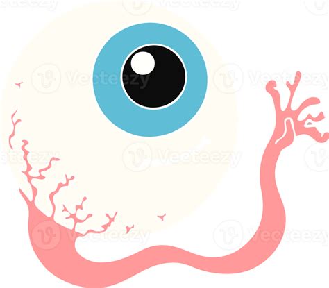 Flat Color Style Cartoon Eyeball 45256117 Png