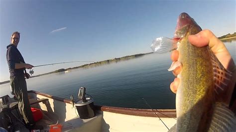 Vertical Jigging For Zander At Rutland Water Youtube