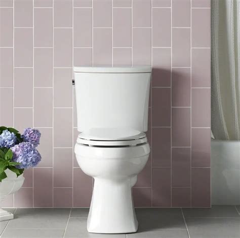 Kohler Kelston Review - Why Choose This Toilet Over Others?