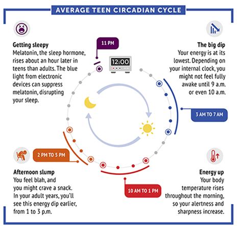 What Is Circadian Rhythm Sleep Disorder