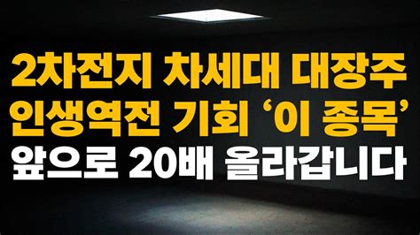 주식 2차전지 차세대 대장주 인생역전 기회 이 종목 앞으로 20배 올라갑니다 2차전지관련주 2차전지주식전망 엘앤에프