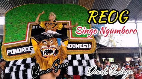 Reog Singo Ngumboro Dowoh Budoyo Youtube