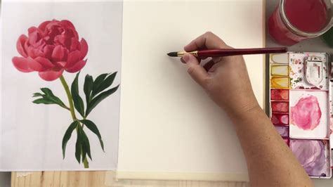 Simple Peony Watercolor Tutorial Youtube