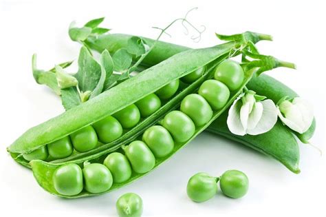 Pods Of Green Peas With Leaves On White Background Containing