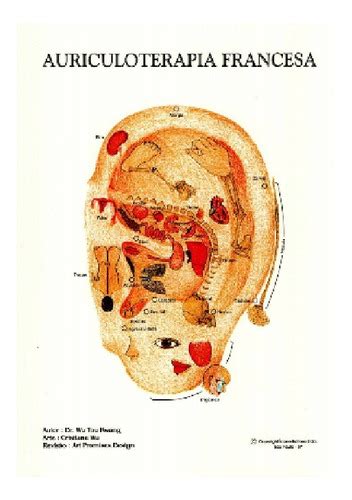 Mapa Auriculoterapia Chinesa E Francesa Dr Wu Tou Kwang