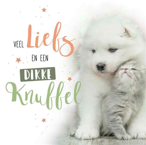 Veel Liefs En Een Dikke Knuffel Snelwenskaart Nl