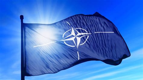 Fisuri N Nato Interesul Politic Domestic Contra Securit Ii Comune