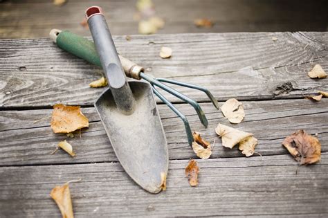 Herramientas De Jardinería Imágenes Y Usos Garden Soil Garden Trowel