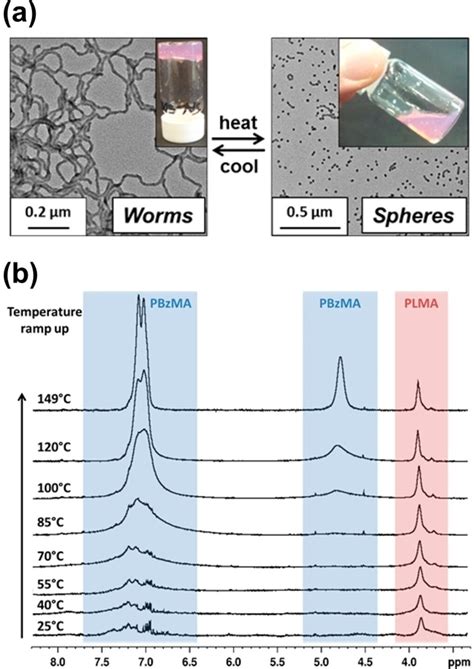 Recent Advances In PolymerizationInduced SelfAssembly PISA