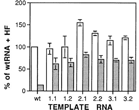 Template Activity Of Adapted Phage RNAs With Q Replicase In The