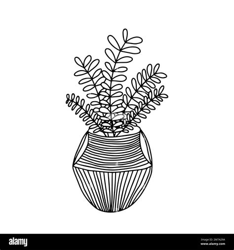 House Plant Vector Illustration Stock Vector Image And Art Alamy