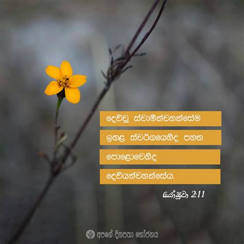 Share Odb Sinhala Our Daily Bread