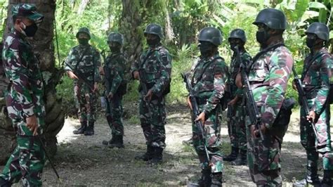 Foto Digojlok Keras Pasukan Rajawali TNI Hadapi Misi Bahaya Di Hutan Papua