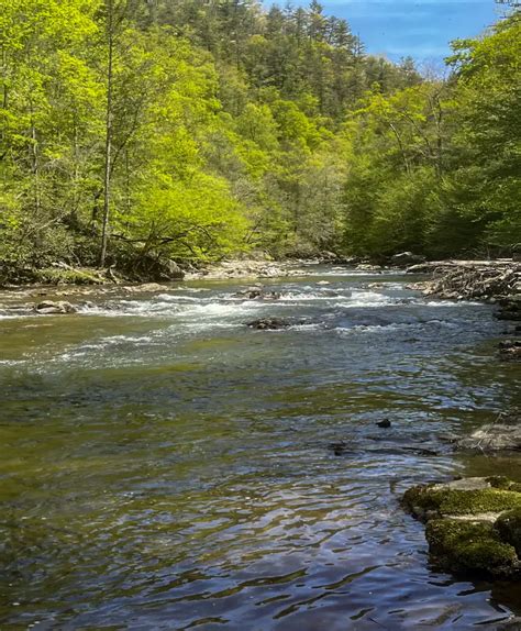 Best Summer Trout Fishing Tips Air Gun Maniac