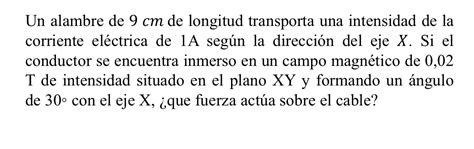 Solved Un Alambre De 9cm De Longitud Transporta Una Chegg