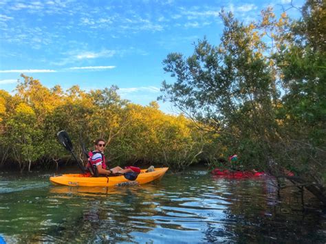 Why Mangrove Kayaking in Abu Dhabi must be on your list - Hopping Feet