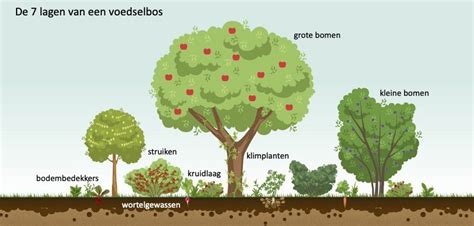 Voedselbos Landgoed De Meinweg