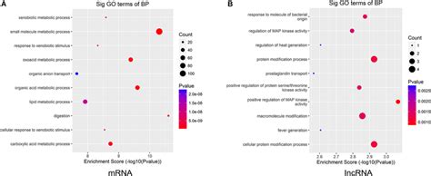 Gene Ontology Go Enrichment Analysis The Biological Processes Of