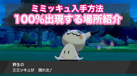 【ポケモン剣盾】ミミッキュ入手方法【100％出現する場所の紹介】 ゲーム難解デイズ