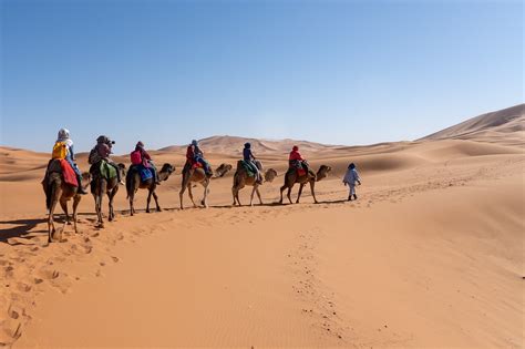 La Mejor Excursion En Camello Y Noche En Merzouga Desierto