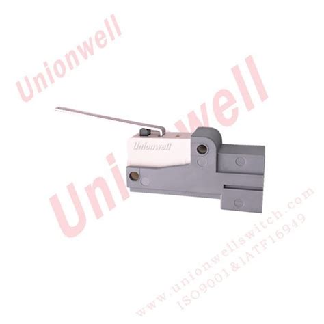 China Customized Basic Micro Switch Straight Lever 5A 250VAC