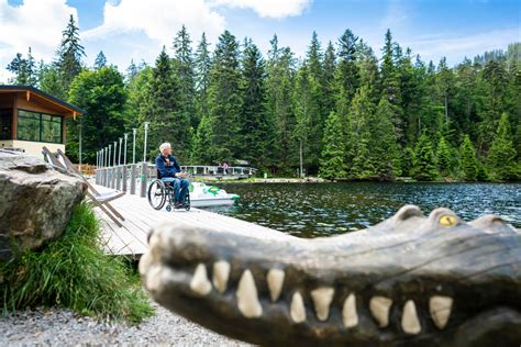 14 Tipps für barrierearme Tagesausflüge im Bayerischen Wald