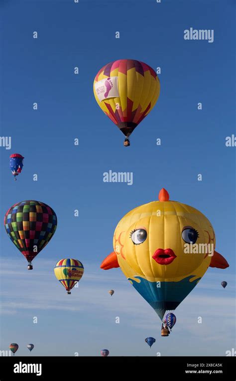 Hot Air Balloons With Special Shape Balloon Sushi 2015 Balloon