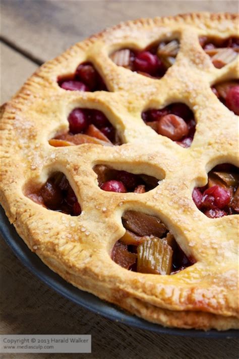 Rhubarb and Red Gooseberry Pie – Vegalicious Recipes