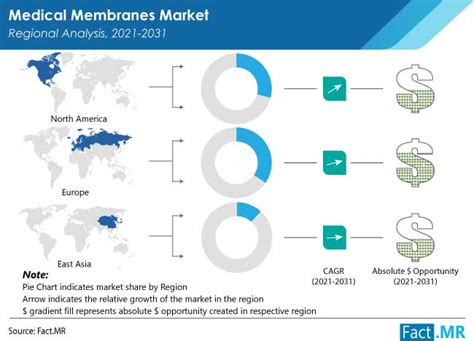 Medical Membranes Market Trends And Forecast 2021 To 2031