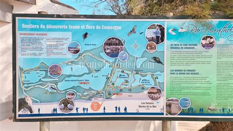 Parc Ornithologique Du Pont De Gau Pour Les Oiseaux De Camargue