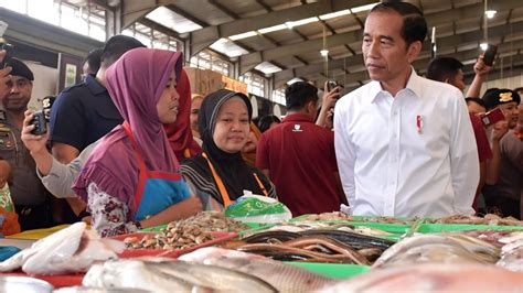 Jokowi Minta Optimalkan Hilirisasi Komoditas Laut Turunan Karagenan Dan