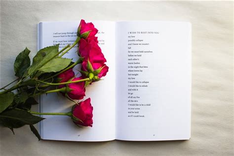 Simile vs. metaphor: What’s the difference?