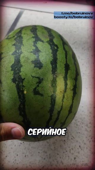 Клипы bebruinov