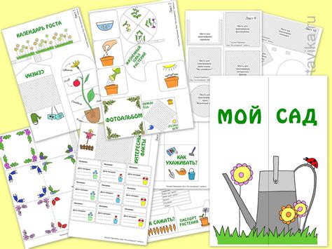 Lepbuka predloge za tisk Plant Lap Book, Diy And Crafts, Paper Crafts ...