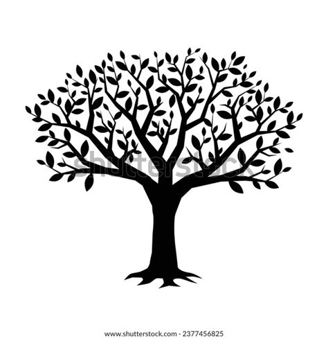 Tree Silhouette Big Tree Silhouette Oak Stock Vector (Royalty Free) 2377456825 | Shutterstock