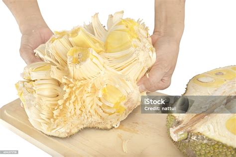 Forcefully Turn Jackfruit Inside Out Stock Photo - Download Image Now ...