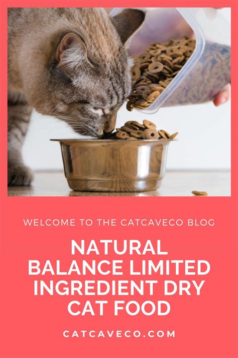 Best Dry Cat Foods 2019 Healthiest And Cheapest Dry Cat Food Cat