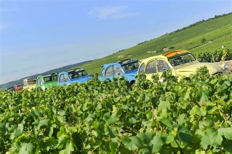 Routes des vins de Bourgogne 6 itinéraires à parcourir