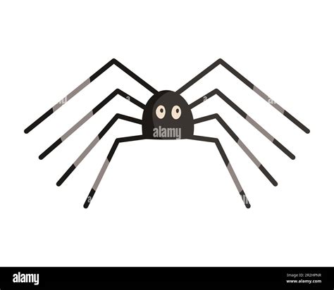 Insect With Long Legs Stock Vector Images Alamy