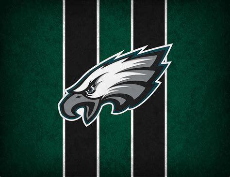 Philadelphia Eagles Photograph by Joe Hamilton - Fine Art America