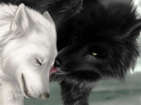 🔥 [50+] Black and White Wolf Wallpapers | WallpaperSafari