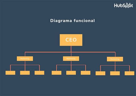 Ejemplo De Organizacion Funcional